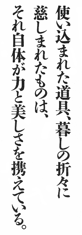使用例・画像2「銀花」